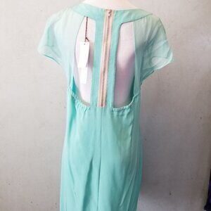 NWT Twelfth St. by Cynthia Vincent Mint dress (124)